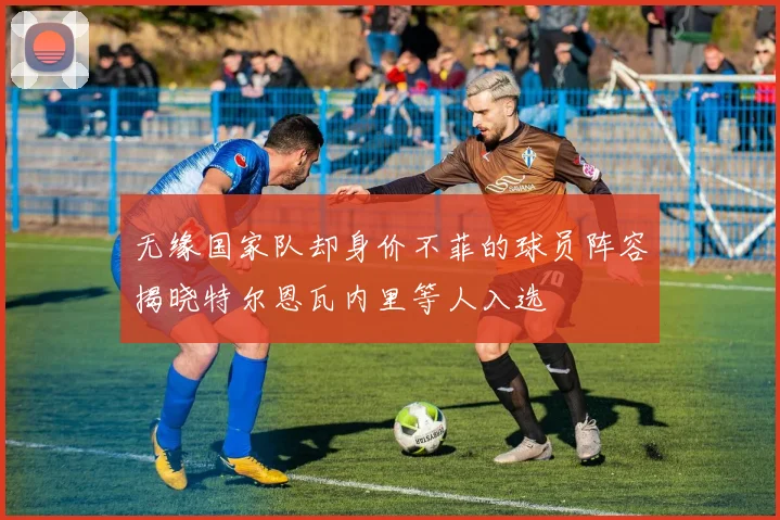 无缘国家队却身价不菲的球员阵容揭晓特尔恩瓦内里等人入选