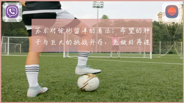 苏东对徐彬留洋的看法：希望的种子与巨大的挑战并存，先做好再追求完美