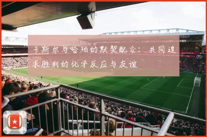 卡斯尔与哈珀的默契配合：共同追求胜利的化学反应与友谊
