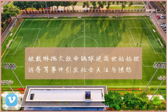 被戴琳拖欠救命钱球迷离世姑姑控诉辱骂事件引发社会关注与愤怒