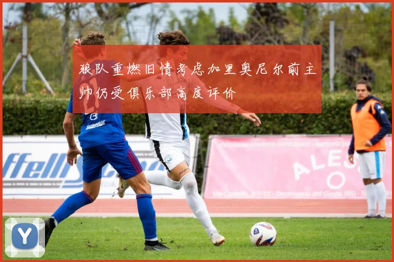 狼队重燃旧情考虑加里奥尼尔前主帅仍受俱乐部高度评价