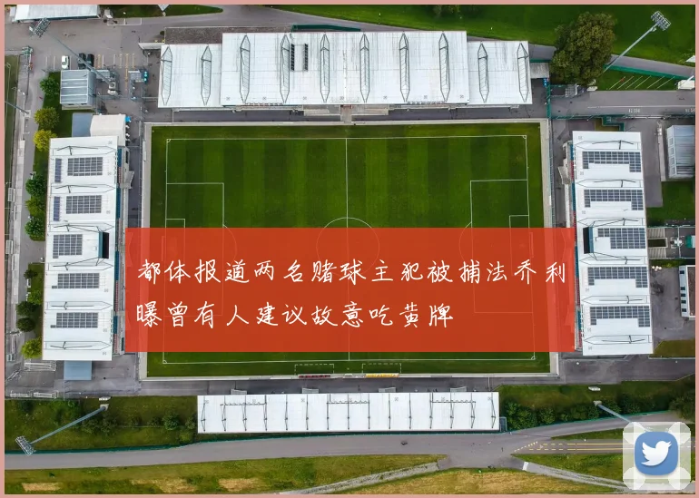 都体报道两名赌球主犯被捕法乔利曝曾有人建议故意吃黄牌